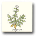 Ceramic Tile Trends - Herbs - Matte Crema Background