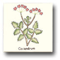 Ceramic Tile Trends - Herbs - Matte Crema Background