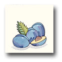 Ceramic Tile Trends - Harvest / White Background