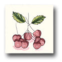 Ceramic Tile Trends - Harvest / White Background