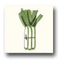 Ceramic Tile Trends - Harvest / White Background