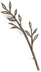 Soko By Jaye - Linea Oliva Pull 8-7/8 Inch Center-To-Center 5-1/2 Inch Width