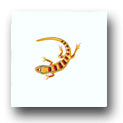 Ceramic Tile Trends - Critters / Lizards / Yellow