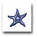 Ceramic Tile Trends - Marina