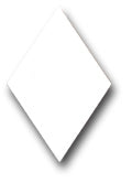 Ceramic Tile Trends - Masquerade / Bright White