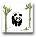 Ceramic Tile Trends - Pandas
