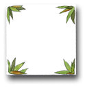 Ceramic Tile Trends - Pandas Field