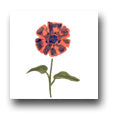 Ceramic Tile Trends - Cachepot Flowers