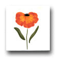 Ceramic Tile Trends - Cachepot Flowers