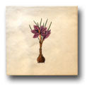 Ceramic Tile Trends - Spring Flowers