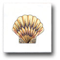 Ceramic Tile Trends - Seaworld