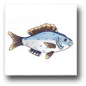 Ceramic Tile Trends - Seaworld