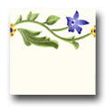 Ceramic Tile Trends - Wildflowers / Matte Crema Background