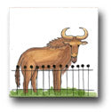 Ceramic Tile Trends - Zoo Animals