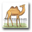 Ceramic Tile Trends - Zoo Animals