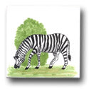 Ceramic Tile Trends - Zoo Animals