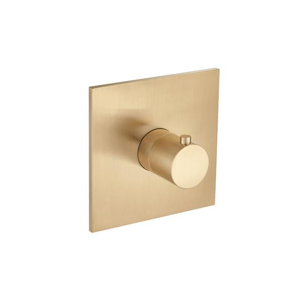 Flusso - Trim For 3/4 Inch Thermostatic Valve - Use with TVH.4201