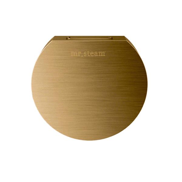 Mr. Steam - Aroma Designer 3 In. W. Steamhead With Aromatherapy Reservoir