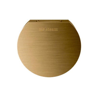 Mr. Steam - Aroma Designer 3 In. W. Steamhead With Aromatherapy Reservoir