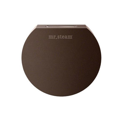 Mr. Steam - Aroma Designer 3 In. W. Steamhead With Aromatherapy Reservoir