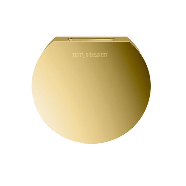 Mr. Steam - Aroma Designer 3 In. W. Steamhead With Aromatherapy Reservoir