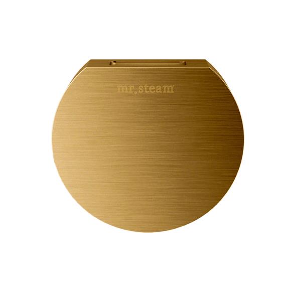 Mr. Steam - Aroma Designer 3 In. W. Steamhead With Aromatherapy Reservoir