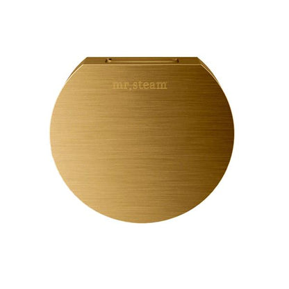 Mr. Steam - Aroma Designer 3 In. W. Steamhead With Aromatherapy Reservoir