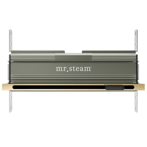 Mr. Steam - Linear 16 In. W. Steamhead With Aromatherapy Reservoir