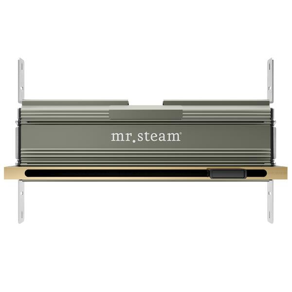 Mr. Steam - Linear 16 In. W. Steamhead With Aromatherapy Reservoir