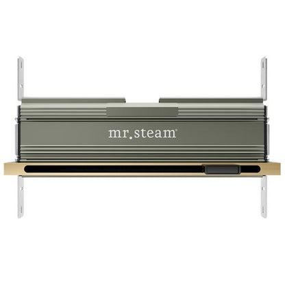 Mr. Steam - Linear 16 In. W. Steamhead With Aromatherapy Reservoir