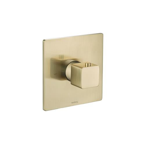 Isenberg - Trim For 3/4 Inch Thermostatic Valve - Use with TVH.4201