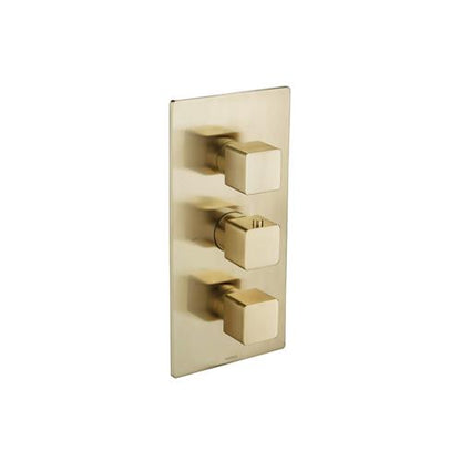 Isenberg - 3/4 Inch Thermostatic Valve With Trim - 3 Output
