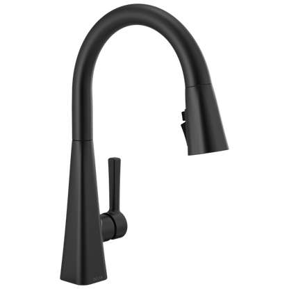 Delta - Lenta Single-Handle Pull-Down Kitchen Faucet