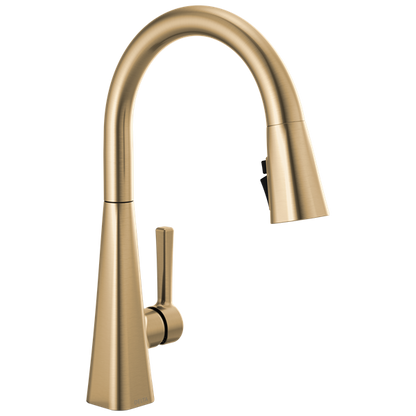 Delta - Lenta Single-Handle Pull-Down Kitchen Faucet