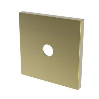 Newport Brass - Diverter Plate