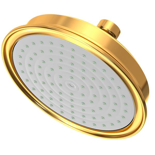 Newport Brass - Single Function Shower Head