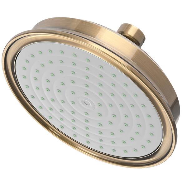 Newport Brass - Single Function Shower Head