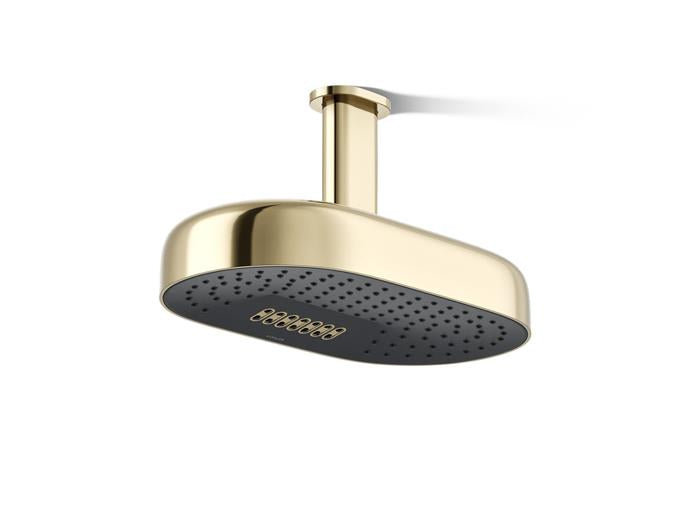 Kohler - Statement 2F 14 Dpmsg Rainheadg