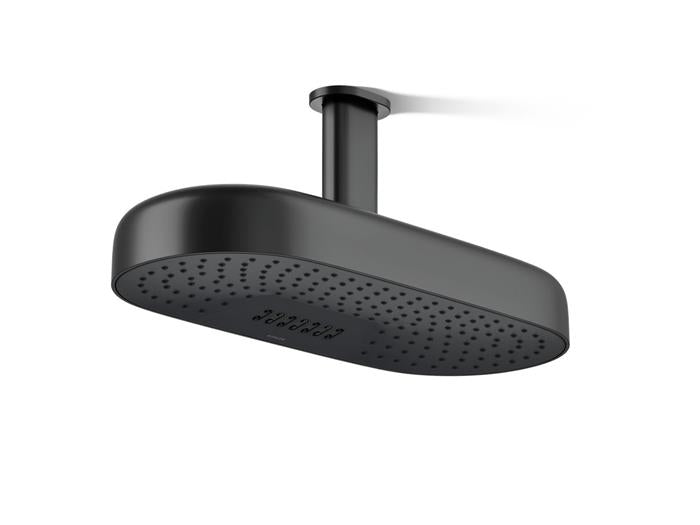 Kohler - Statement 2F 18 Dpmsg Rainhead