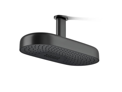 Kohler - Statement 2F 18 Dpmsg Rainhead