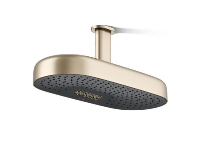 Kohler - Statement 2F 18 Dpmsg Rainhead