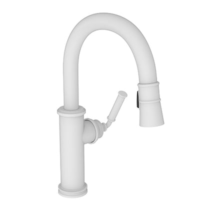 Newport Brass - Taft Kitchen Prep/Bar Pull Down Faucet