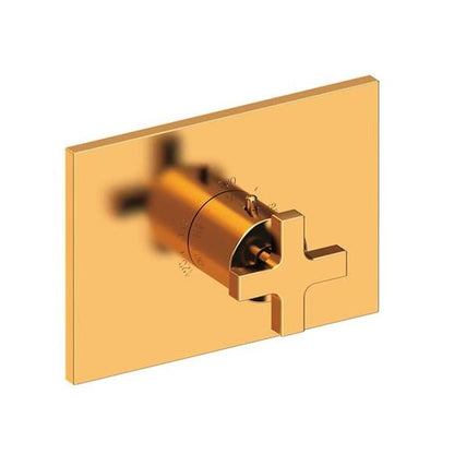 Newport Brass - Secant 3/4 Inch Rectangular Thermostatic Trim Plate with Handle