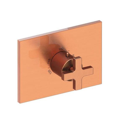 Newport Brass - Secant 3/4 Inch Rectangular Thermostatic Trim Plate with Handle