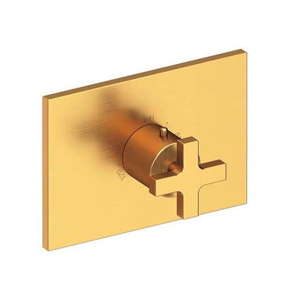 Newport Brass - Secant 3/4 Inch Rectangular Thermostatic Trim Plate with Handle