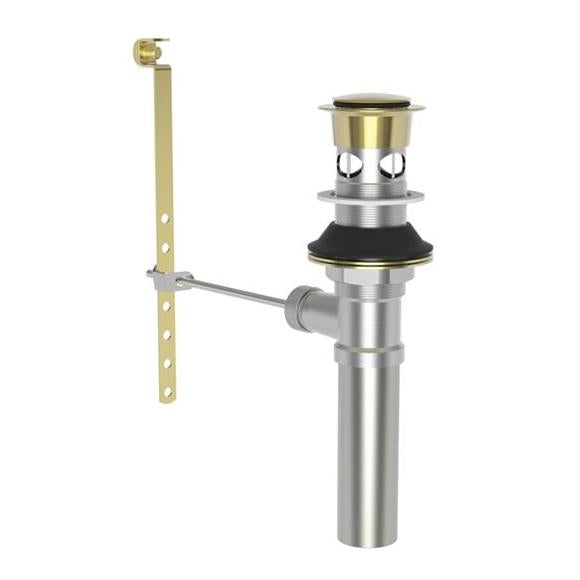 Newport Brass - Brasstech Lavatory Drain