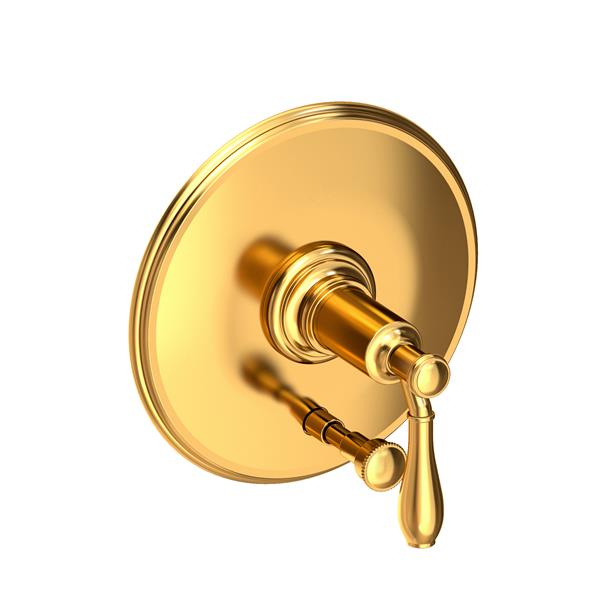 Newport Brass - Ithaca Balanced Pressure Tub & Shower Diverter Plate with Handle. Less Showerhead, arm and flange.