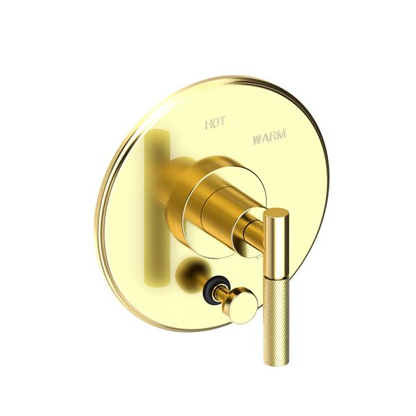 Newport Brass - Muncy Balanced Pressure Tub & Shower Diverter Plate with Handle. Less Showerhead, arm and flange.