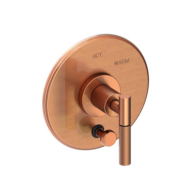 Newport Brass - Muncy Balanced Pressure Tub & Shower Diverter Plate with Handle. Less Showerhead, arm and flange.