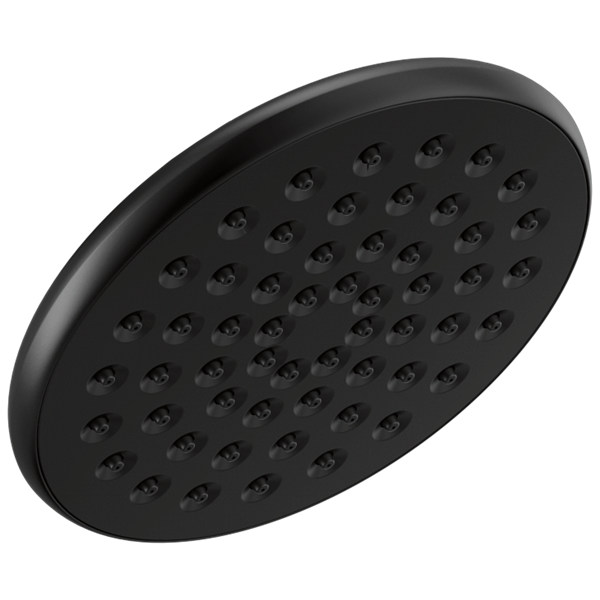 Delta - Single-Setting Raincan Shower Head